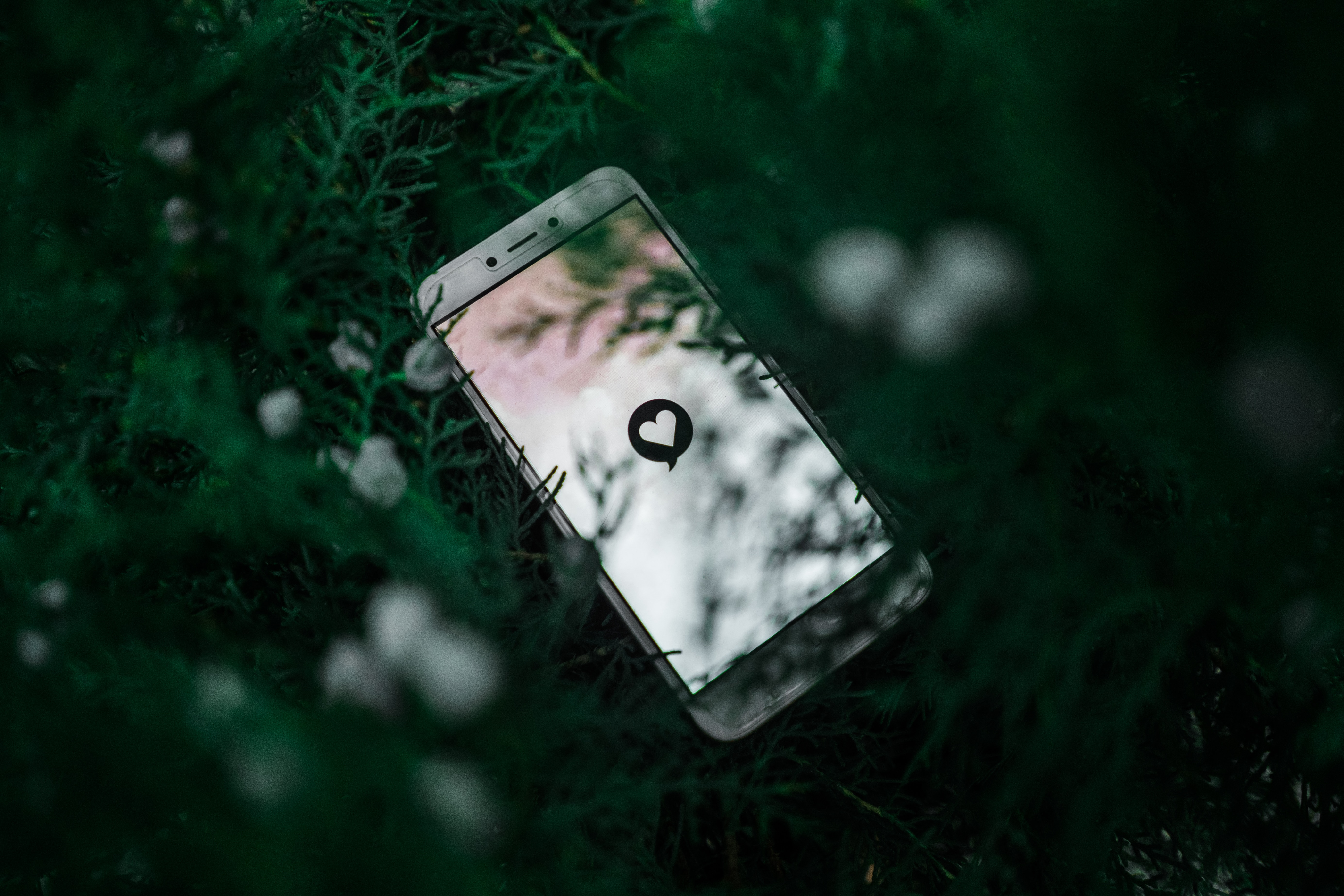 A white smart phone laying in a tree with a "heart" emoji in a chat bubble on the screen